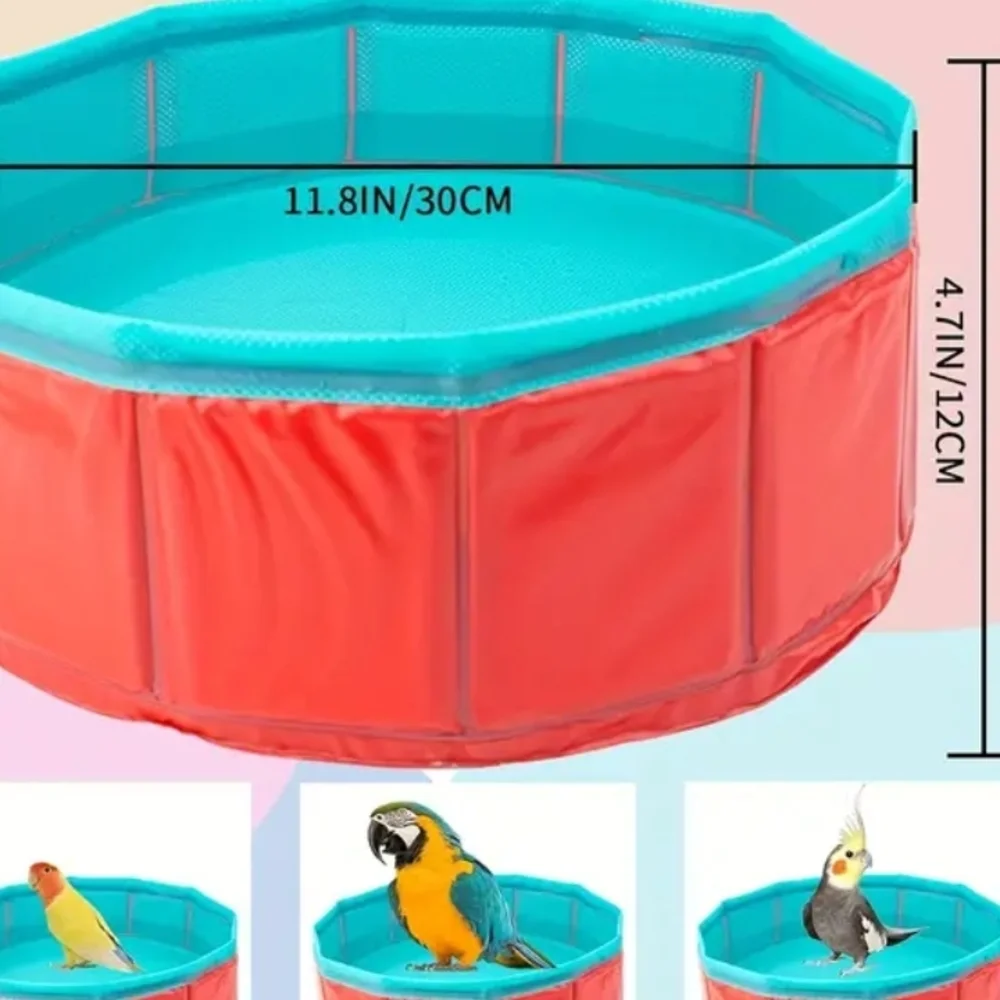 Swimming Pool For Birds